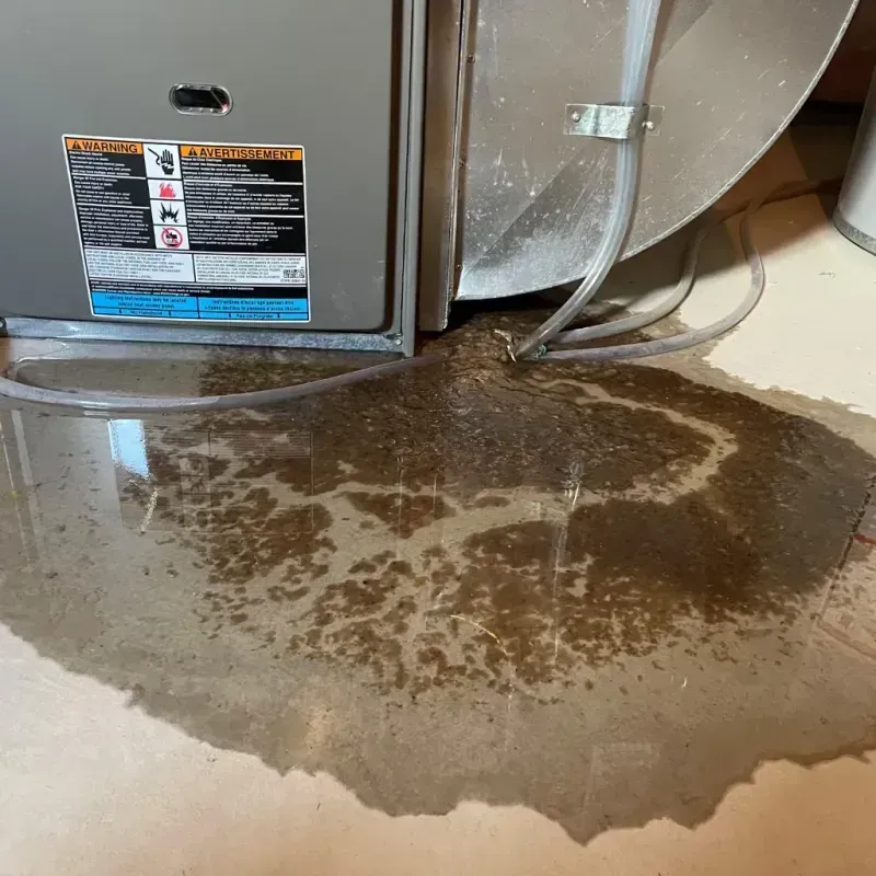 Appliance Leak Cleanup in Summit, MS